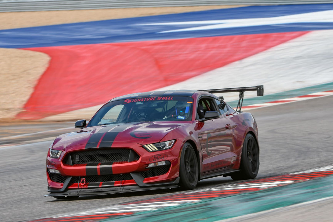 Ford Mustang Shelby GT350 GT500 S550 GT-250 Carbon Fiber Adjustable Wing 2015-2017