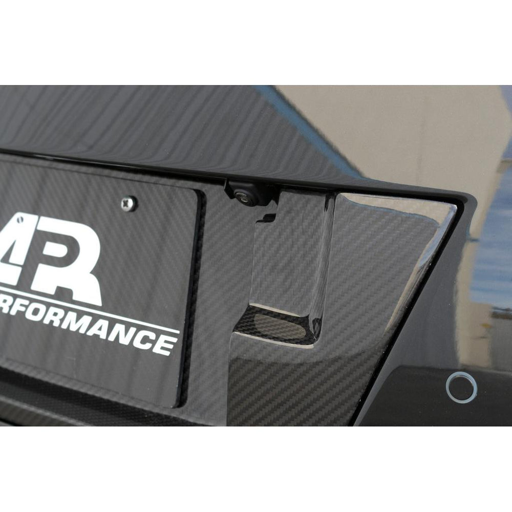 APR PEFORMANCE R35 GT-R CARBON FIBER LICENSE PLATE BACKING (2017-2022)